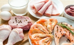 Weight Loss Foods - Meat and Fish